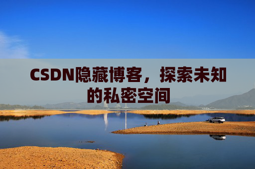 CSDN隐藏博客，探索未知的私密空间